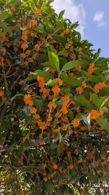 行願寺（革堂）(京都府)