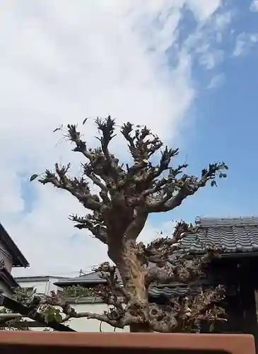 西方山極楽寺の自然