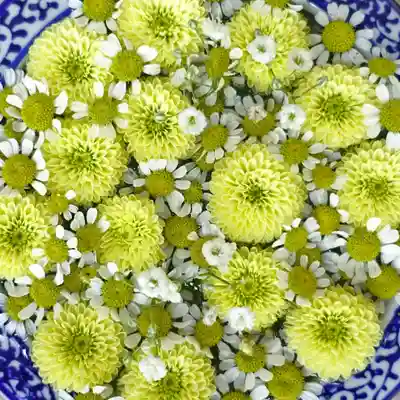 帯廣神社の手水舎