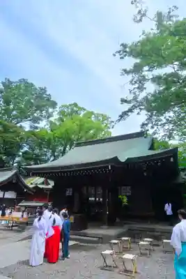 川越氷川神社(埼玉県)
