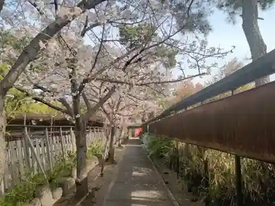 阿部野神社(大阪府)