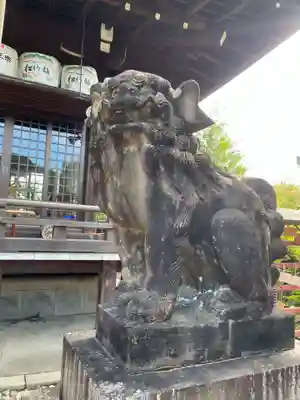 京都乃木神社の狛犬