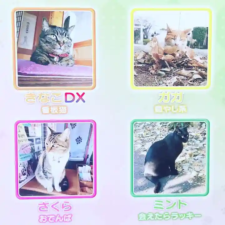 前玉神社の動物