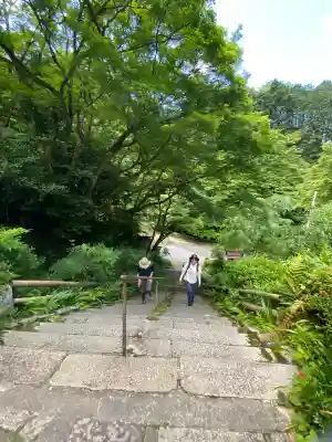 日向大神宮の{uncategorized: "未分類", other: "その他", undefined: "問題あり", building: "その他建物", grave: "お墓", sacred_gate: "鳥居", guardian: "狛犬", statue: "像", buddha: "仏像", history: "歴史", nature: "自然", garden: "庭園", animal: "動物", pagoda: "塔", temizu: "手水舎", mountain_gate: "山門・神門", sanctuary: "本殿・本堂", subordinate: "末社・摂社", art: "芸術", scenery: "景色", jizo: "地蔵", ema: "絵馬", goshuin: "御朱印", omikuji: "おみくじ", items: "授与品その他", amulet: "お守り", goshuincho: "御朱印帳", eats: "食事", festival: "お祭り", votive_dance: "神楽", shichigosan: "七五三参", wedding: "結婚式", experience: "体験その他", initially: "初詣", around: "周辺", anti_infection: "感染症対策"}