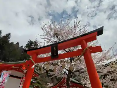 金櫻神社(山梨県)