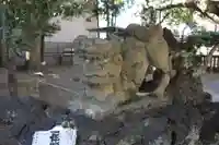 静岡神明宮の狛犬