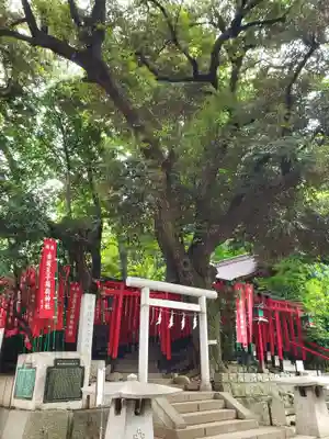 乃木神社(東京都)