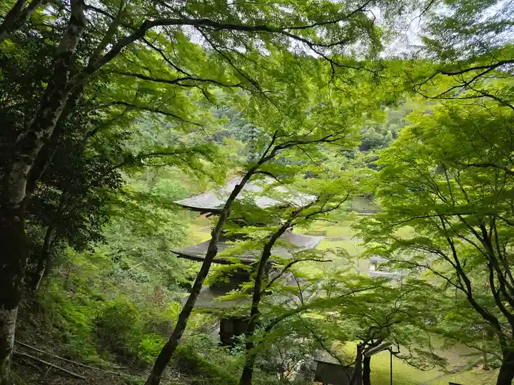 金剛院(京都府)