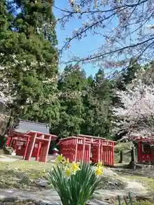 白狐山光星寺(山形県)(2026年04月09日(木) 18時09分57秒投稿)