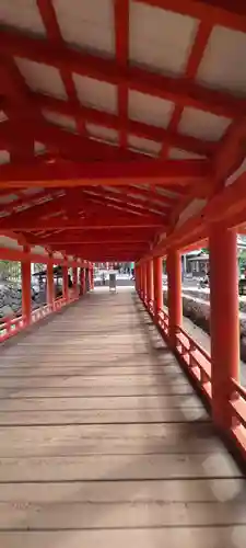 厳島神社(広島県)