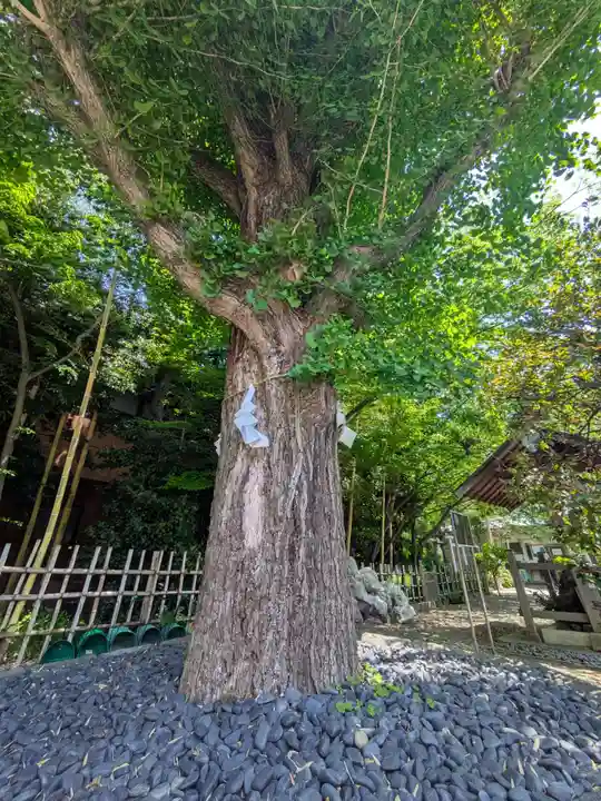 市谷亀岡八幡宮(東京都)