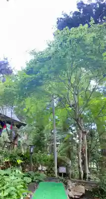 河口浅間神社(山梨県)