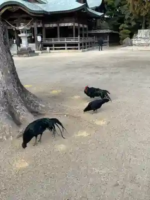 玉祖神社(山口県)
