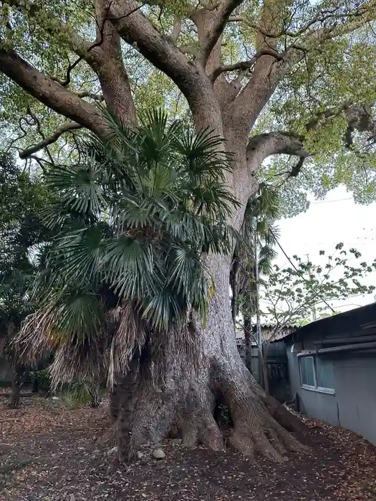 池田神社のその他建物