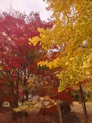 淨眞寺(東京都)