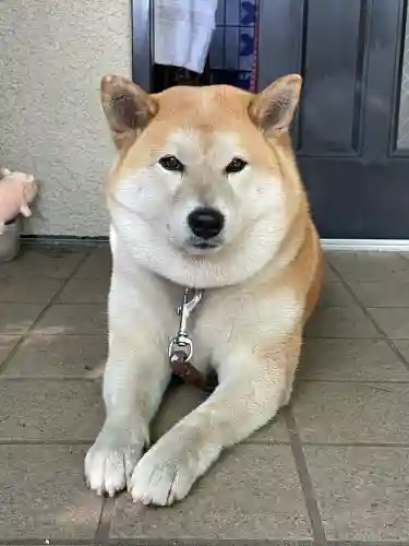 笠䅣稲荷神社(神奈川県)