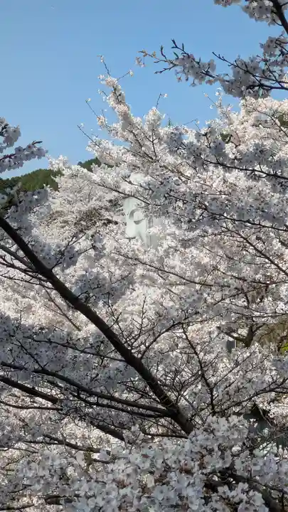南法華寺(壷阪寺)(奈良県)