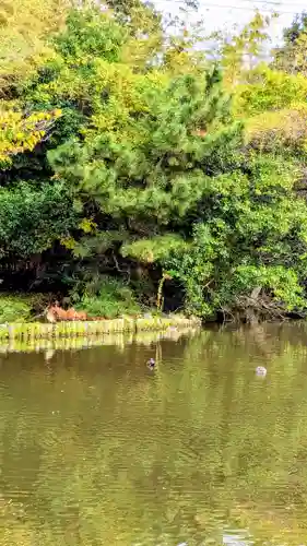 菊田神社の周辺