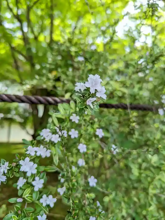 禅林寺(永観堂)(京都府)