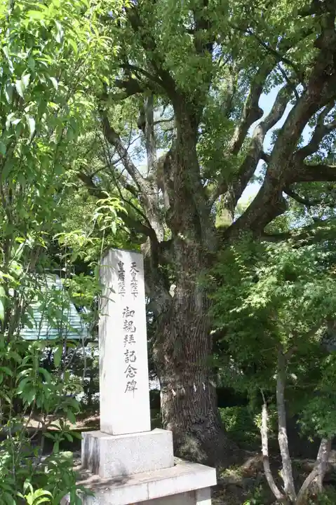 滋賀県護国神社(滋賀県)