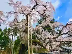 三宝院（三宝院門跡）(京都府)