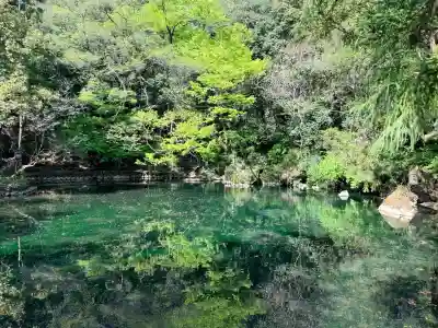 涌釜神社の{uncategorized: "未分類", other: "その他", undefined: "問題あり", building: "その他建物", grave: "お墓", sacred_gate: "鳥居", guardian: "狛犬", statue: "像", buddha: "仏像", history: "歴史", nature: "自然", garden: "庭園", animal: "動物", pagoda: "塔", temizu: "手水舎", mountain_gate: "山門・神門", sanctuary: "本殿・本堂", subordinate: "末社・摂社", art: "芸術", scenery: "景色", jizo: "地蔵", ema: "絵馬", goshuin: "御朱印", omikuji: "おみくじ", items: "授与品その他", amulet: "お守り", goshuincho: "御朱印帳", eats: "食事", festival: "お祭り", votive_dance: "神楽", shichigosan: "七五三参", wedding: "結婚式", experience: "体験その他", initially: "初詣", around: "周辺", anti_infection: "感染症対策"}