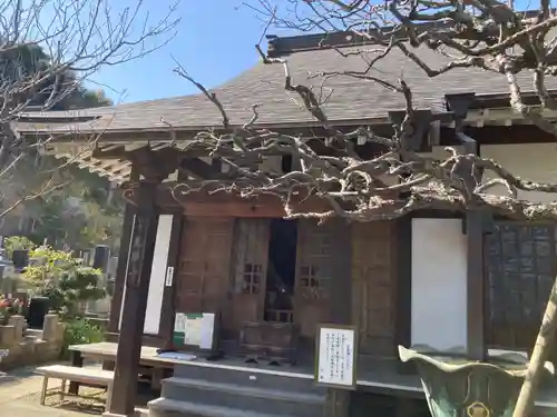 光照寺(神奈川県)