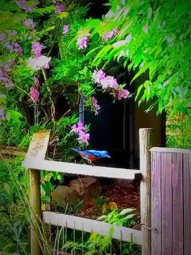 當麻寺中之坊のその他建物