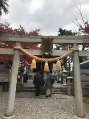 名古屋晴明神社の鳥居