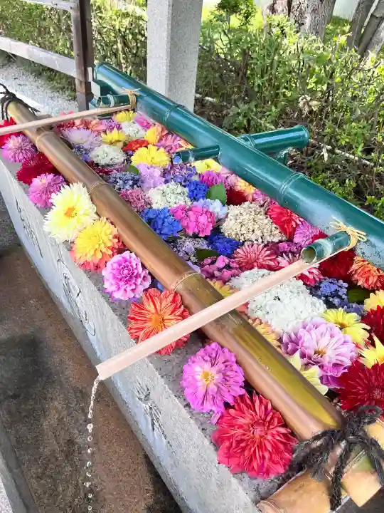 伊和志津神社(兵庫県)