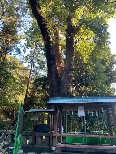 久能山東照宮の自然
