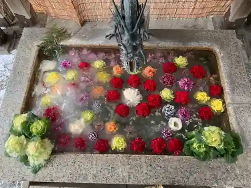 札幌諏訪神社の手水舎