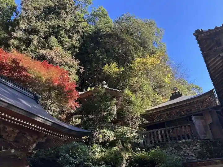 仙龍寺(愛媛県)