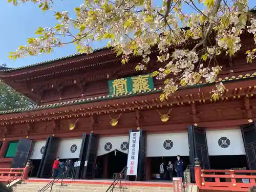 日光東照宮(栃木県)