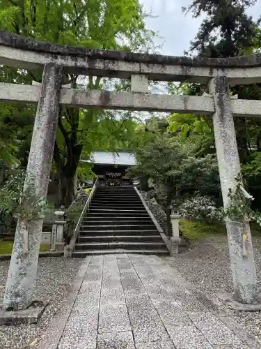 新神社の{uncategorized: "未分類", other: "その他", undefined: "問題あり", building: "その他建物", grave: "お墓", sacred_gate: "鳥居", guardian: "狛犬", statue: "像", buddha: "仏像", history: "歴史", nature: "自然", garden: "庭園", animal: "動物", pagoda: "塔", temizu: "手水舎", mountain_gate: "山門・神門", sanctuary: "本殿・本堂", subordinate: "末社・摂社", art: "芸術", scenery: "景色", jizo: "地蔵", ema: "絵馬", goshuin: "御朱印", omikuji: "おみくじ", items: "授与品その他", amulet: "お守り", goshuincho: "御朱印帳", eats: "食事", festival: "お祭り", votive_dance: "神楽", shichigosan: "七五三参", wedding: "結婚式", experience: "体験その他", initially: "初詣", around: "周辺", anti_infection: "感染症対策"}