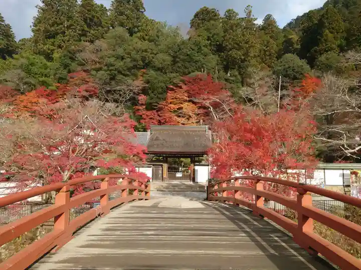 室生寺(奈良県)
