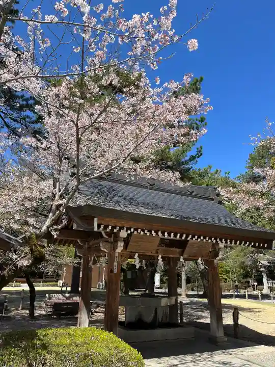 武田神社の手水舎