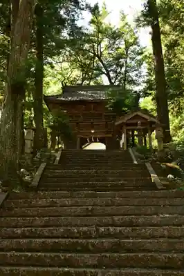 三島神社(藤縄森三島神社)(愛媛県)