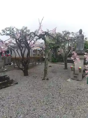 養性寺(埼玉県)