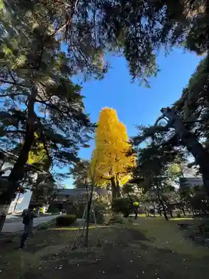 三寳寺(東京都)