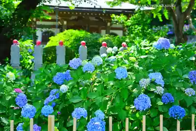 妙楽寺(神奈川県)