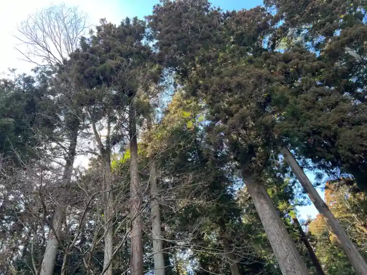 大宮温泉神社(栃木県)