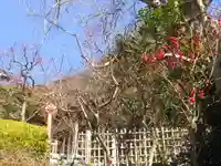 荏柄天神社の庭園