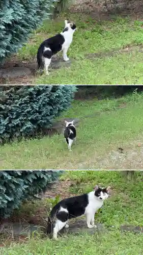 森町稲荷神社(北海道)