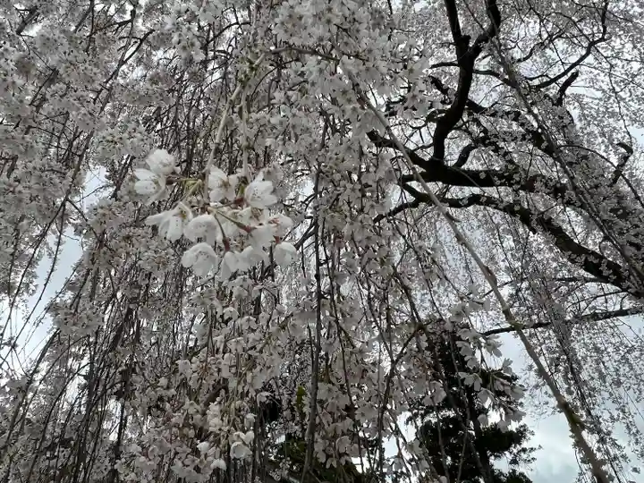 久遠寺(山梨県)