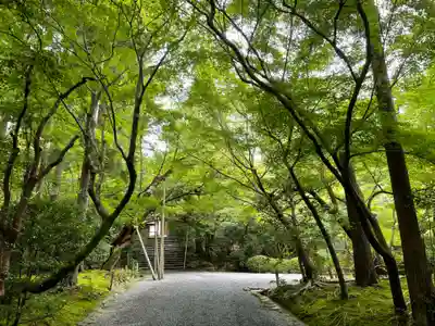 龍安寺(京都府)