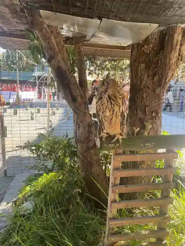 宮地嶽神社(福岡県)