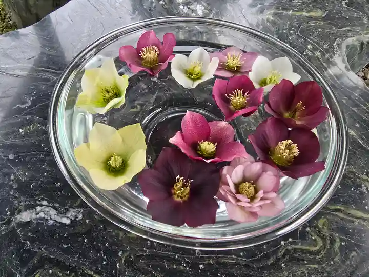 円照寺(兵庫県)