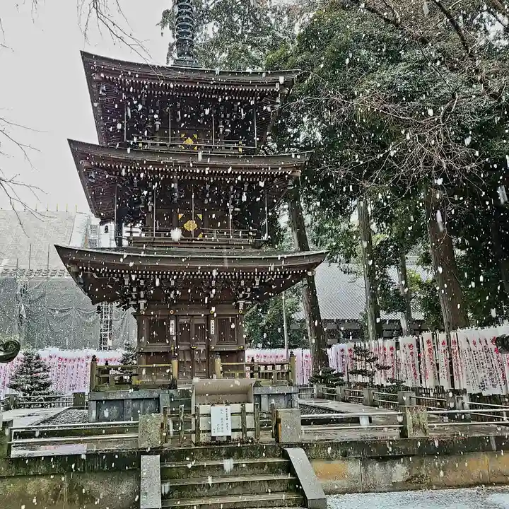 豊川閣 妙厳寺の塔
