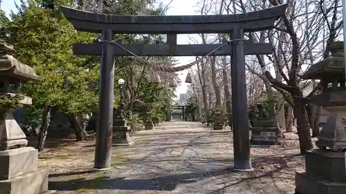 信濃神社の鳥居